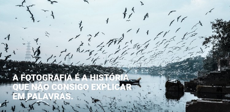 A fotografia é a história Template CSS