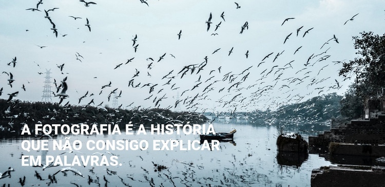 A fotografia é a história Modelo