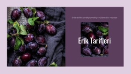 Erik Tarifleri - Duyarlı HTML5 Şablonu