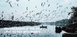 Photography Is The Story Website Editor Free