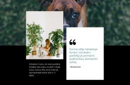 Citát O Domácích Zvířatech – Šablona Vstupní Stránky