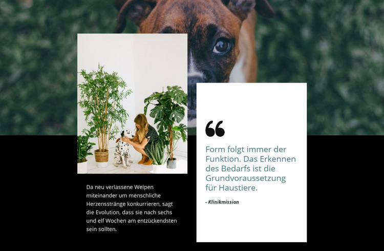 Zitat über Haustiere WordPress-Theme