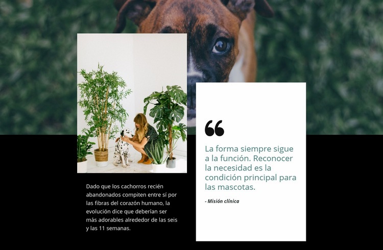 Cita sobre mascotas Plantilla HTML5