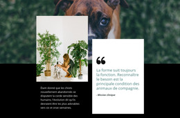 Citation Sur Les Animaux - Modèle De Page De Destination