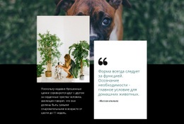 Цитата О Домашних Животных – Настраиваемый Профессиональный Макет Веб-Сайта