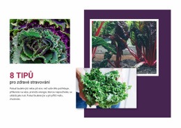 Lahodné Zelené Recepty Šablona Webové Stránky