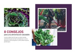 Recetas Deliciosas De Verduras Plantilla HTML CSS Responsiva