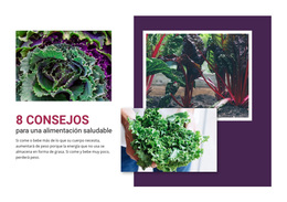 Recetas Deliciosas De Verduras