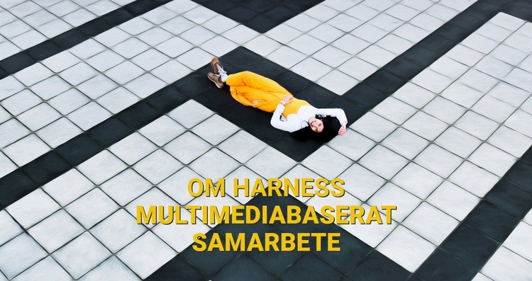 Sele baserat samarbete CSS -mall