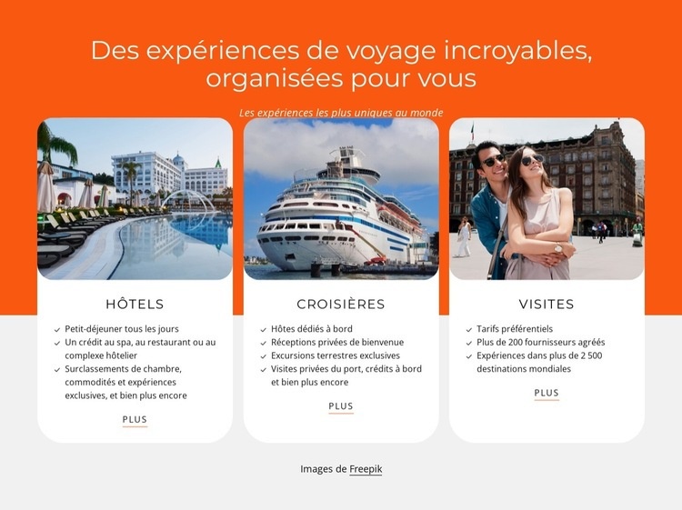 Hôtels, croisières, circuits Modèle