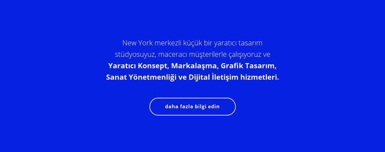 Şirketimiz hakkında metin WordPress Teması