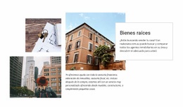 Residencias De Lujo: Maqueta De Sitio Web Multipropósito