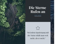 Die Sterne Rufen Website-Design