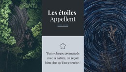 La Meilleure Conception De Site Web Pour Les Étoiles Appellent