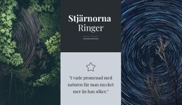 Stjärnorna Ringer - Webbmall