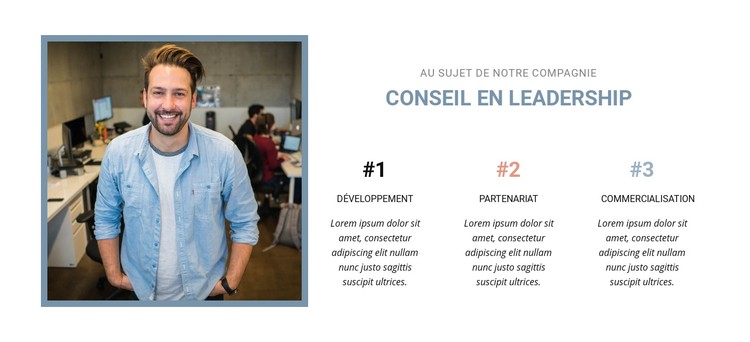 Conseil en leadership Modèle CSS