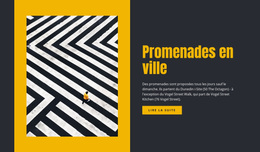 Voyage Promenades En Ville - Thème WordPress Personnalisé