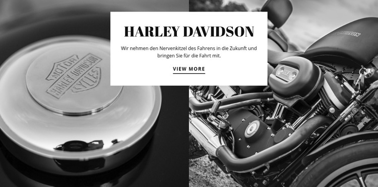Harley Davidson Motoren Website design