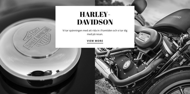 Harley Davidson motorer Webbplats mall