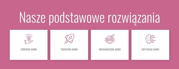 Nasze podstawowe rozwiązania Wstęp