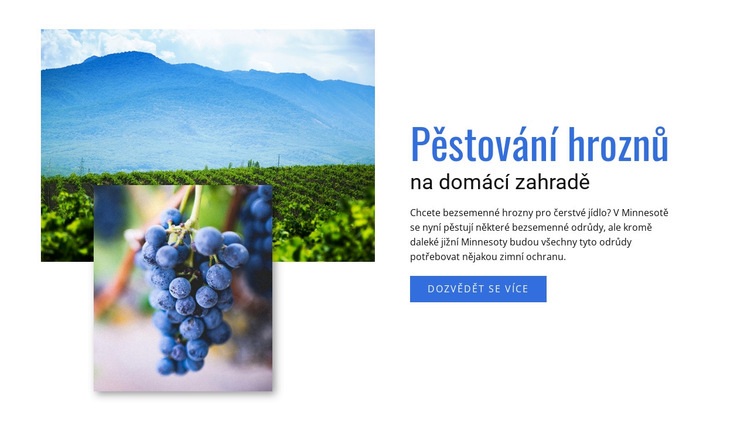 Pěstování hroznů Téma WordPress