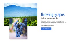 Growing Grapes Css Template Free Download