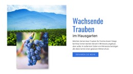 Wachsende Trauben CSS-Vorlage Kostenlos Herunterladen