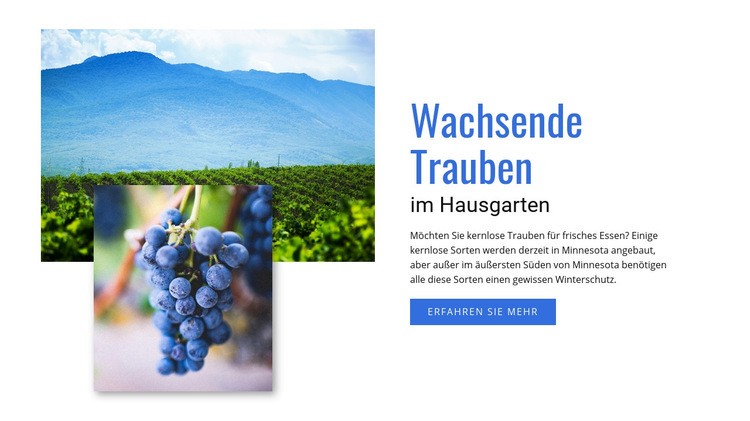 Wachsende Trauben HTML5-Vorlage