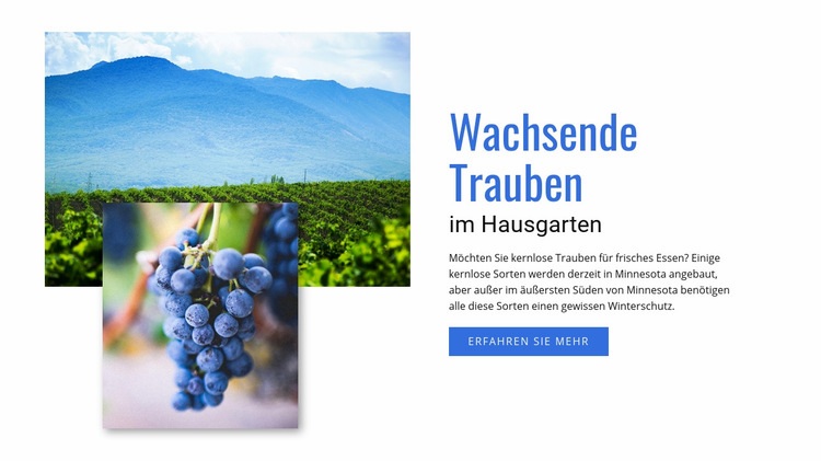 Wachsende Trauben Website design