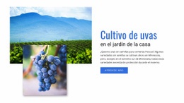 Cultivo De Uvas - Maqueta De Sitio Web Gratuita