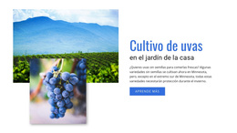 Cultivo De Uvas - Tema De WordPress Y WooCommerce