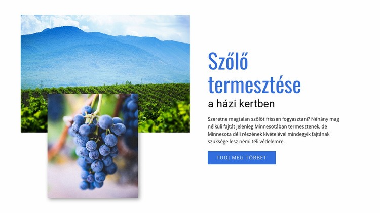 Szőlő termesztése Weboldal sablon