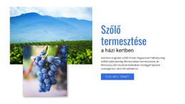 Szőlő Termesztése – Tökéletes Webhelytervezés