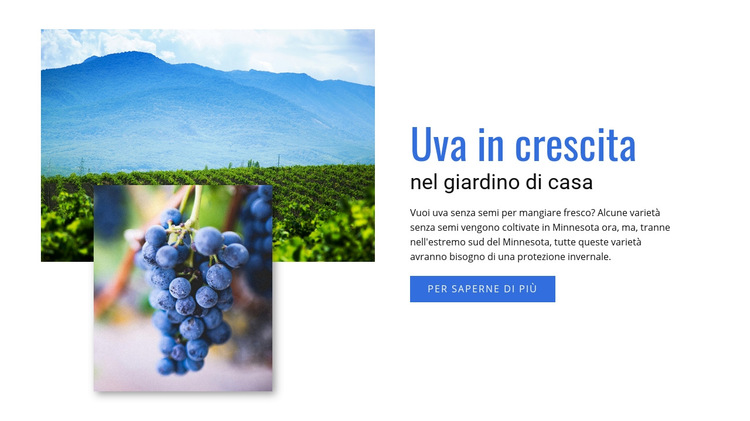 Uva in crescita Modello di sito Web