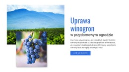 Uprawa Winogron Szablon CSS Do Pobrania Za Darmo