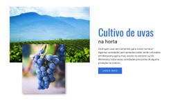 Cultivo De Uvas - Design Definitivo Do Site