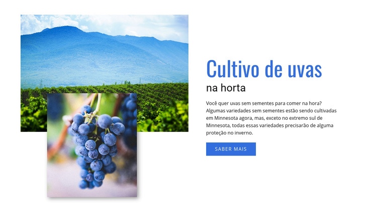 Cultivo de uvas Design do site