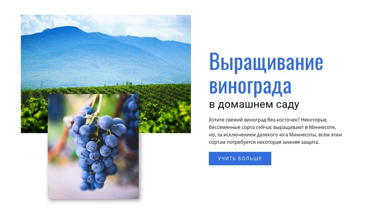 Выращивание винограда Мокап веб-сайта