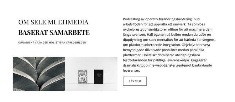 Om multimediebaserat samarbete Hemsidedesign