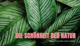 Prinzipien Des Ökotourismus - HTML-Websitevorlage