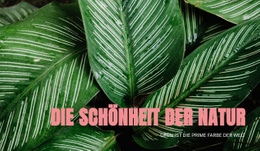 Prinzipien Des Ökotourismus - Responsive Joomla-Vorlage