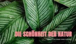 Prinzipien Des Ökotourismus - Schönes Website-Design