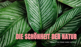 Prinzipien Des Ökotourismus – Funktionales WordPress-Theme