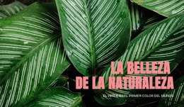 Principios Del Ecoturismo - Maqueta De Estructuras Alámbricas