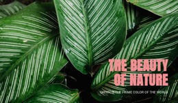 Principles Of Ecotourism - Creative Multipurpose Html Code