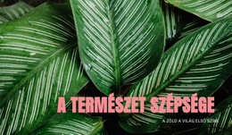 Az Ökoturizmus Alapelvei – Webhelytervező Sablon