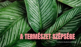 Az Ökoturizmus Alapelvei - Gyönyörű Weboldal Dizájn