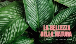 Principi Di Ecoturismo - Modello HTML5 Multiuso Creativo