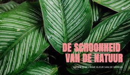 Principes Van Ecotoerisme Sjabloon HTML CSS Responsief