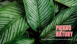 Zasady Ekoturystyki - Szablon Strony HTML